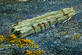 Old fence post detail